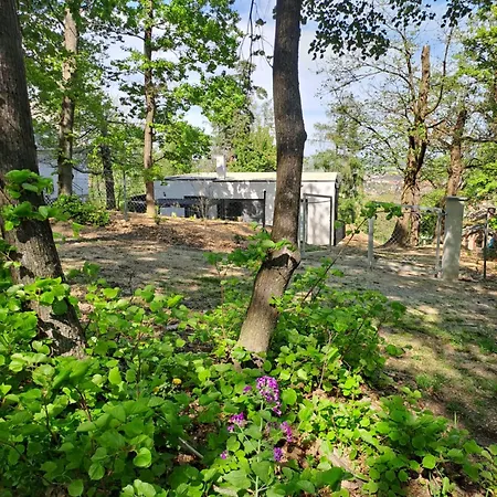 Villa Toelgyes *